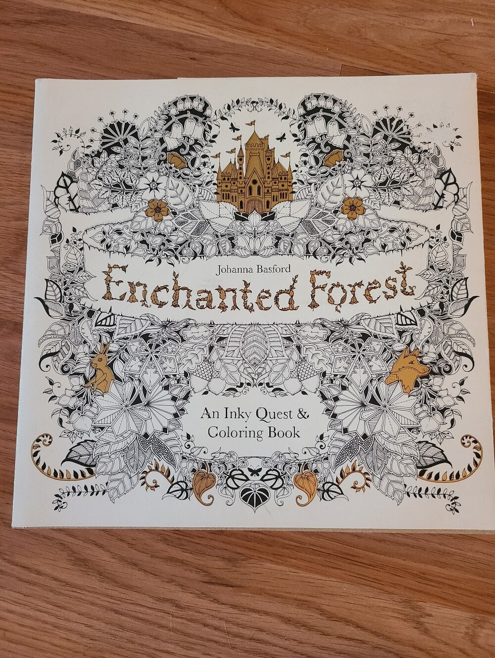 Enchanted Forest Coloring Book